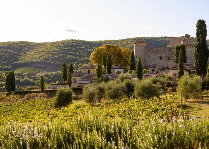 Castello Di Meleto *